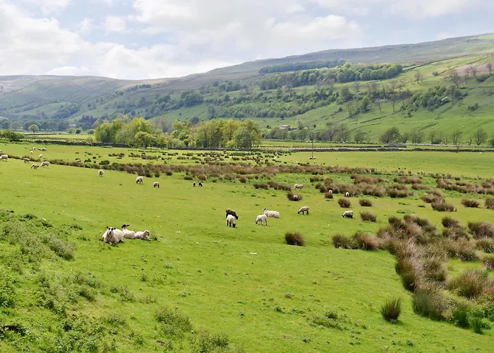 Hébergement de vacances Mystified