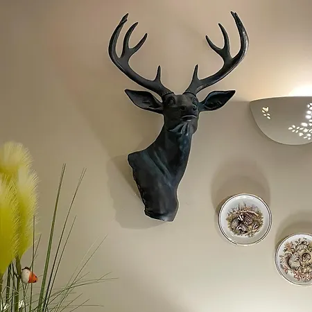 Mystified West Burton