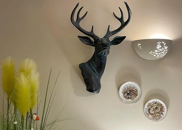 Mystified West Burton